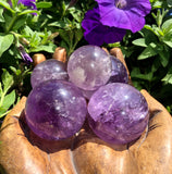 Amethyst Spheres ~ Assorted Sizes