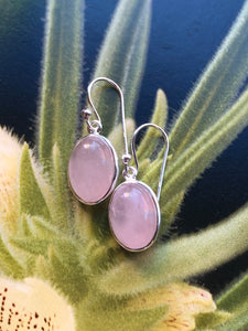 Rose Quartz Oval Earrings