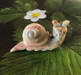 Crazy Lace Agate Snail