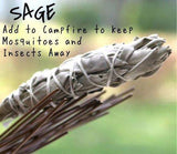 White Sage Smudge Stick ~ 8 - 9 in